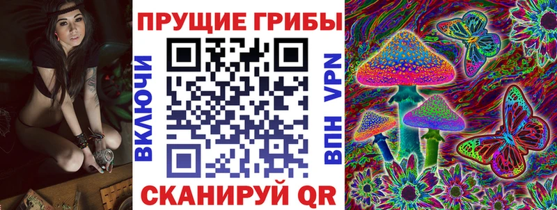 закладка  Сухиничи  Галлюциногенные грибы GOLDEN TEACHER 